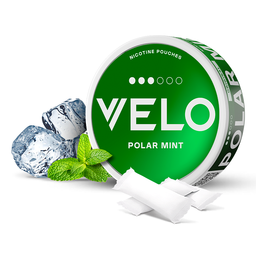 VELO Polar Mint flavor Original Oral Nicotine Pouches | 10mg | Pakistan –  VELO Pakistan