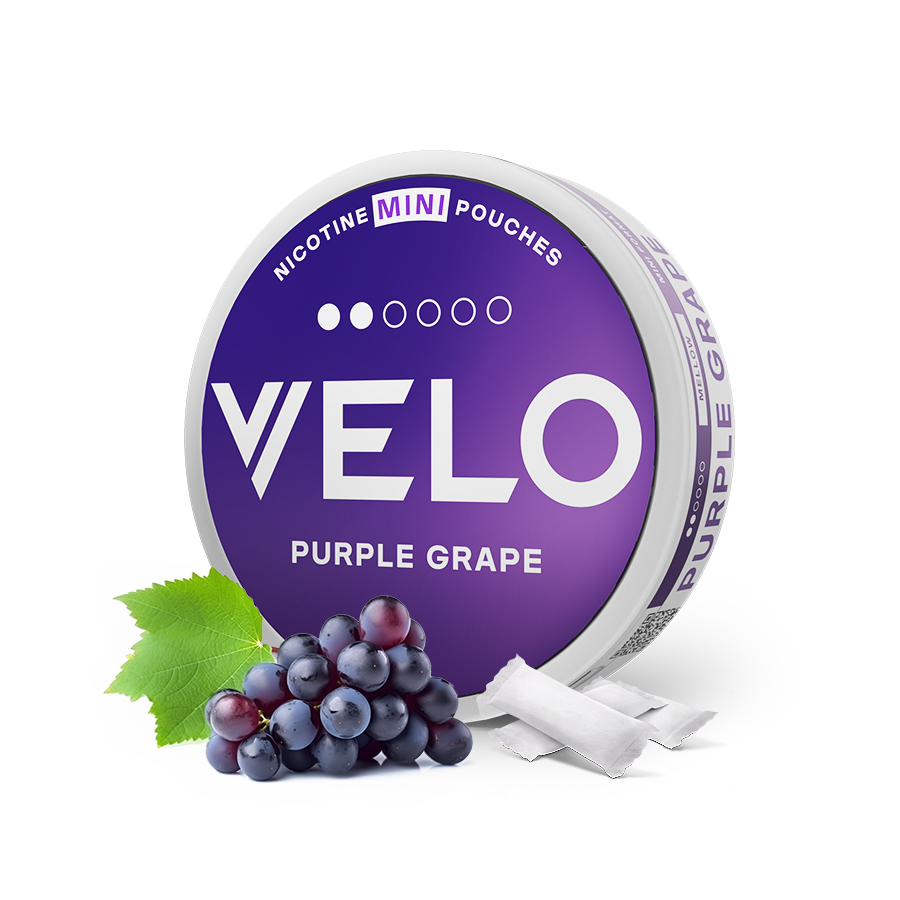 PURPLE GRAPE MINI